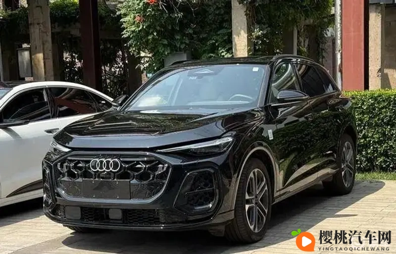 中出網站國產:国产网站,中出资源丰富多样-1