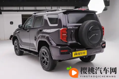 全新坦克400 四种动力如何选? 购车分析-2