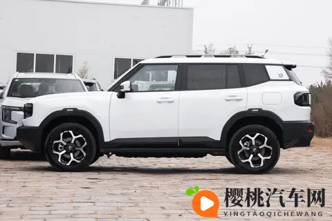 15万混动SUV选它不后悔?四驱+索尼音响,油耗低空间大-2