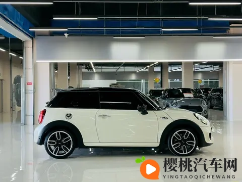 色多多黄:色彩斑斓,黄光熠熠-2