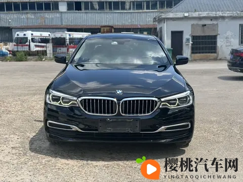 20款宝马5系:10万公里,香槟色外观,18万多开回家!-3
