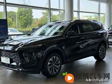 91免费福利:免费资源大放送,惊喜不断!-2