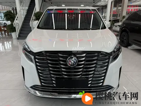 宜商宜家好选择,准新一手别克GL8陆尊-3