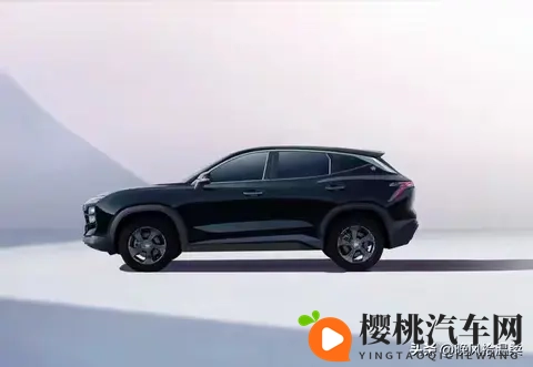 国产黑鬼P媚黑婊：性能爆表，豪华配置，这款新车太抢眼-2