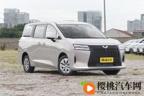 预算有限，追求空间实用与性价比？这款MPV值得一看！-2