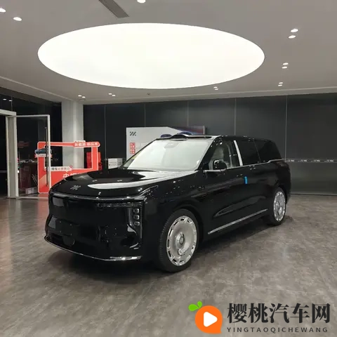 虚火下的“遥遥领先”:新能源汽车狂欢下的冷思考-1