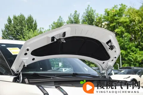 40 万级 MPV 怎么选？极氪 009 从产品到政策全解析，宜商宜家很实在-2