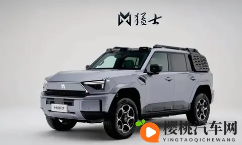 2025年10月方盒子车销量出炉：谁在逆袭？谁又跌惨了？-2