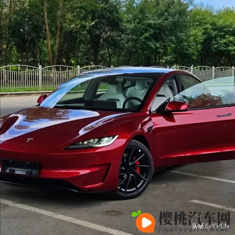 20多万的特斯拉是豪车吗-3