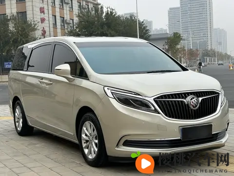 宜商宜家好选择,二手别克GL8尊享型,13万多拿下!-1