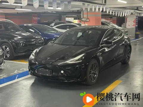 10万出头,圆你特斯拉梦!20年Model3,代步通勤优选-3
