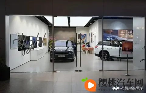 中国车欧洲斩获74%份额,为何德国市场仅29%?-2