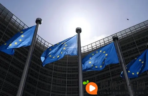 中国车在欧洲卖疯了，特斯拉却被关税卡脖子，插混成了救命稻草-3