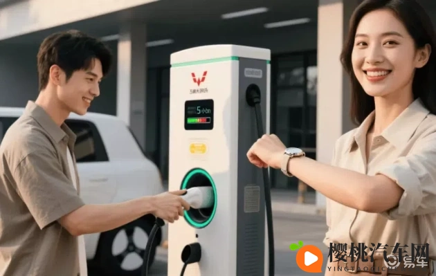 天天日天天干天天射:新能源汽车崛起,智能化出行未来可期-1