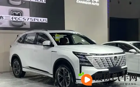 2025年10月SUV销量出炉：国产车杀疯了，合资跌惨，新能源哑火？-3