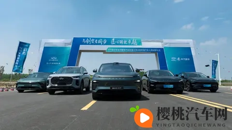 10月车市惊爆:卖10辆国产车8辆是新能源!自主品牌杀疯了-3