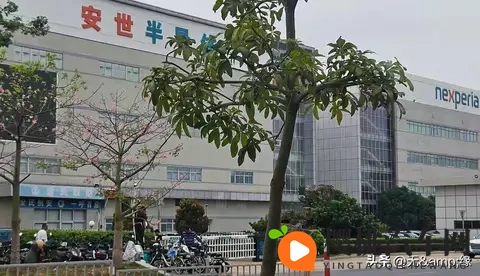 安世事件爆发一个多月后，以荷兰“认输”的结局告终？-1