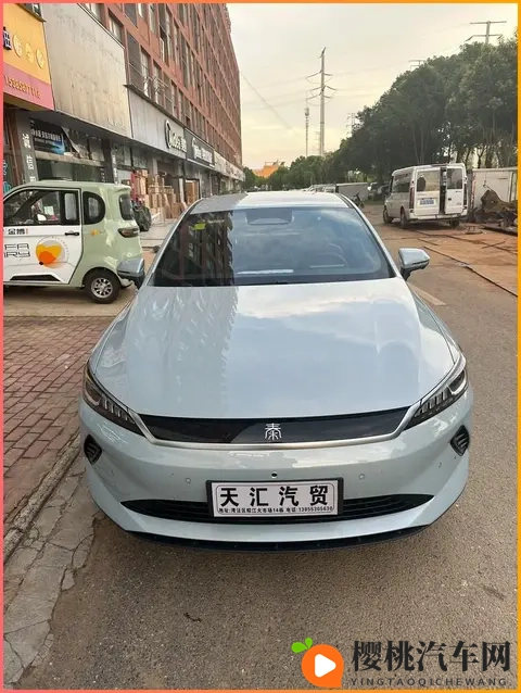 天天艹天天爱:日日耕耘,情意绵绵如潮涌-1