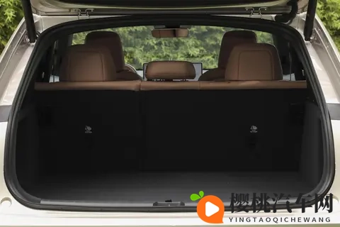 破局而上,岚图梦想家山河重塑超豪华MPV安全标杆-1