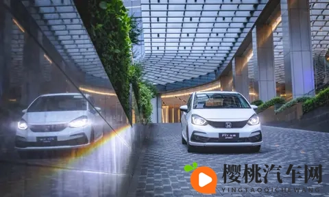 A0级市场冰火两重天,飞度是“时代眼泪”?没这么简单!-2