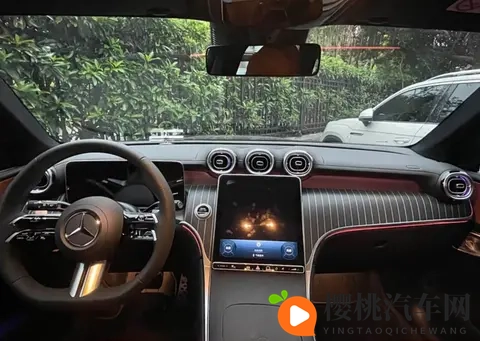 XXXWWW欧美：新能源汽车崛起，欧美市场新亮点频现-1