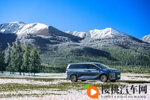 黄三色和绿三色的区别图片：黄色与绿色对比图解析-1