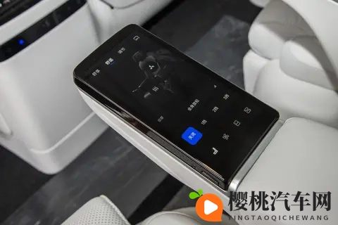 入手26款岚图梦想家，智能安全又豪华，半个月体验超满意！-2