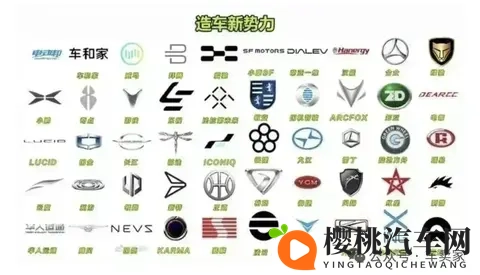 汽车圈五大怪像,每个都让人费解-2