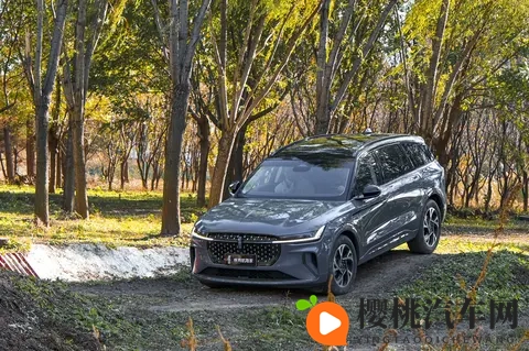 西欧女人和牛zoz0性伦:汽车驾驶文化揭秘:女性如何将激情与速度结合?-3