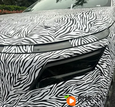 纯电动大六座,会用华为技术吗?疑似日产N8谍照曝光-3