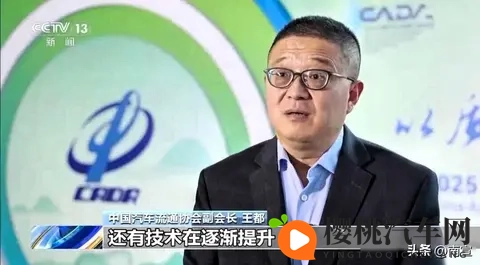 免税快没了，大家疯抢车，车企开始拼真本事-1