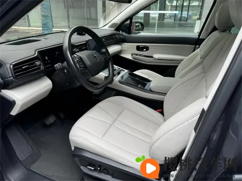 Nappa真皮普及背后：车企宣传的“文字游戏”该停了-2