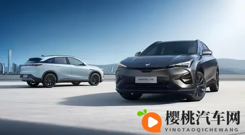 高速上的“老司机”？体验T5的自动变道超车！-1