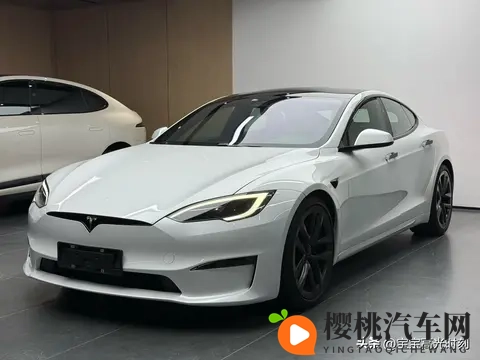 特斯拉价格博弈:一场关于消费选择与权力的游戏-2