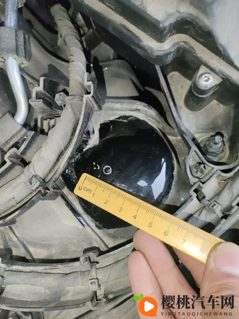 婷五月天：五月天的婷，歌声飘扬青春梦-3