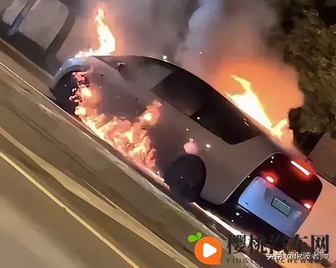 磷酸铁锂与三元锂孰优孰劣?用户选购新能源车应看清楚电池类型!-1