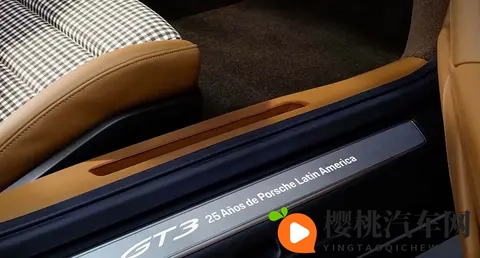 保时捷911 GT3 Touring Ocelot限量特别版官图正式发布-3