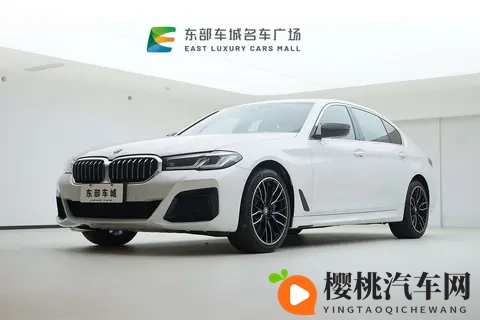 22万拿下宝马5系，体验行政级座驾的乐趣-3