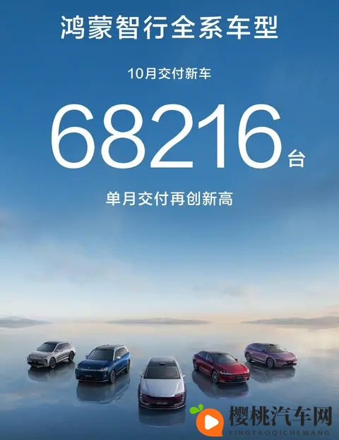 政策收紧前夜车市上演最后狂欢，谁在狂奔谁掉队？-3