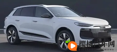 奥迪Q6L e-tron_Q6L Sportback e-tron申报信息公示 电机有所升级-1