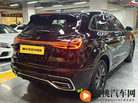 1188万拿下准新红旗HS5，家用SUV新选择？-2
