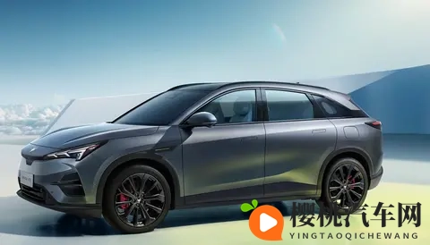 老师的兔子又大又圆:课堂上那只兔子真肥大,圆滚滚的逗人喜爱-2