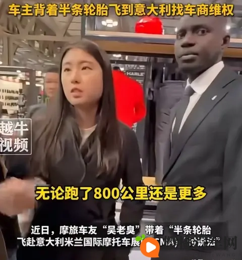 丝瓜,芭乐,猫咪,草莓,小猪绿巨人:田园美食与萌宠的奇妙组合-2